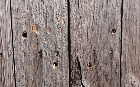 কাঠের বেষ্টনীতে বা বেড়ায় পেরেক বিদ্ধ করা-রাগ নিয়ে এক শিক্ষণীয় গল্প!