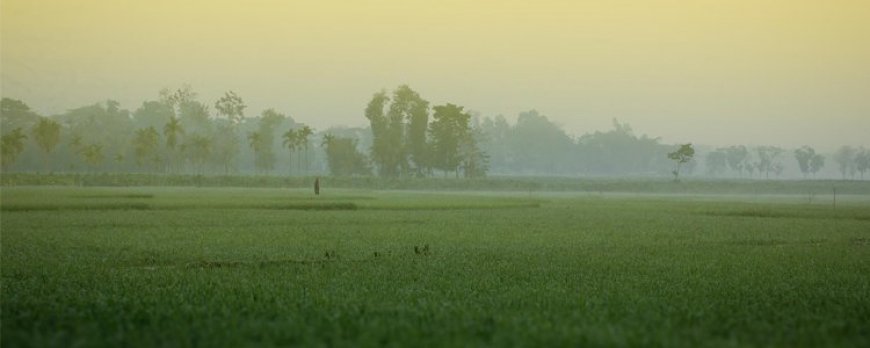 স্মৃতিময় শৈশব – বাংলার কবিতা