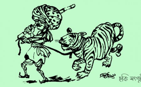 সাতমার পালোয়ান