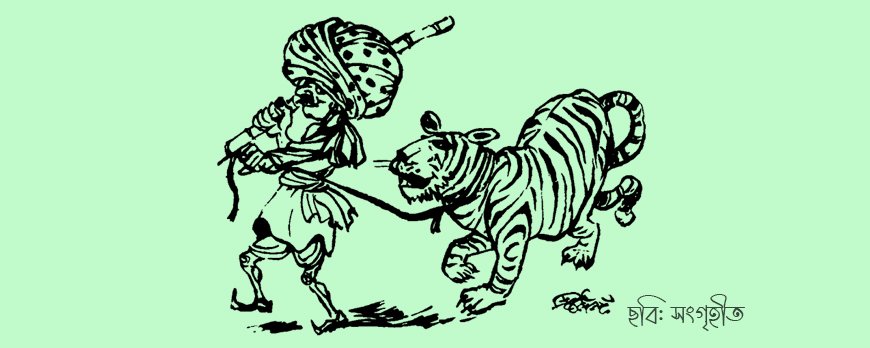 সাতমার পালোয়ান